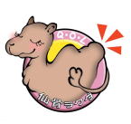 仙骨ラクダ